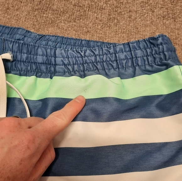 CHUBBIES (Men's Large) Striped Swim Trunks "Me Likey the Stripey" - Picture 3 of 10